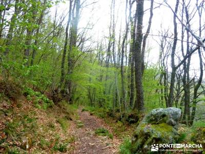 Cañones Ebro, Alto Campoo, Brañosera,Valderredible; excursiones de montaña; excursiones viajes